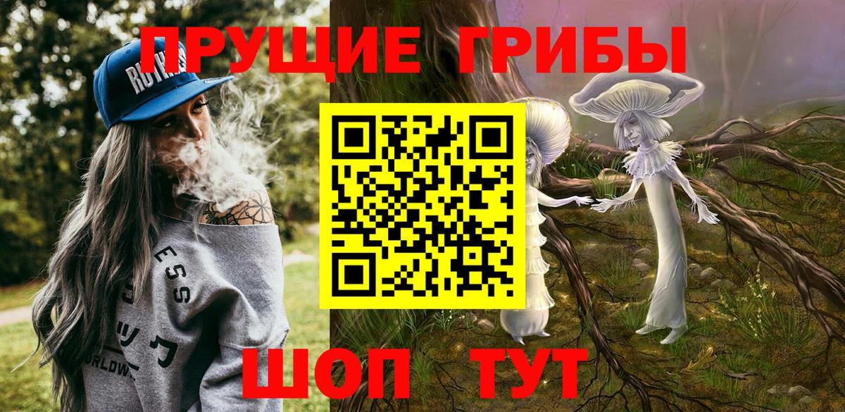 где найти наркотики  Псилоцибиновые грибы Cubensis  Вход с VPN  Галлюциногенные грибы Psilocybe  Котовск 